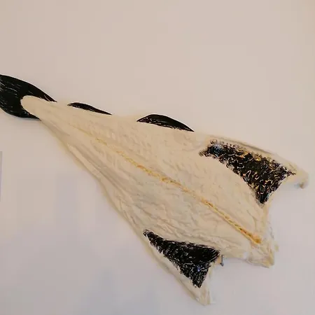 度假居 Casa D'avo Bina Local 维亚纳堡