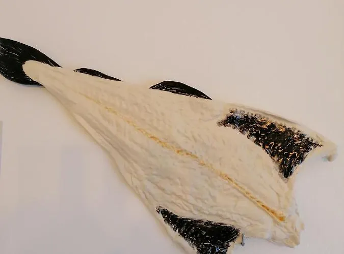 Holiday home Casa D'avo Bina Local Viana do Castelo